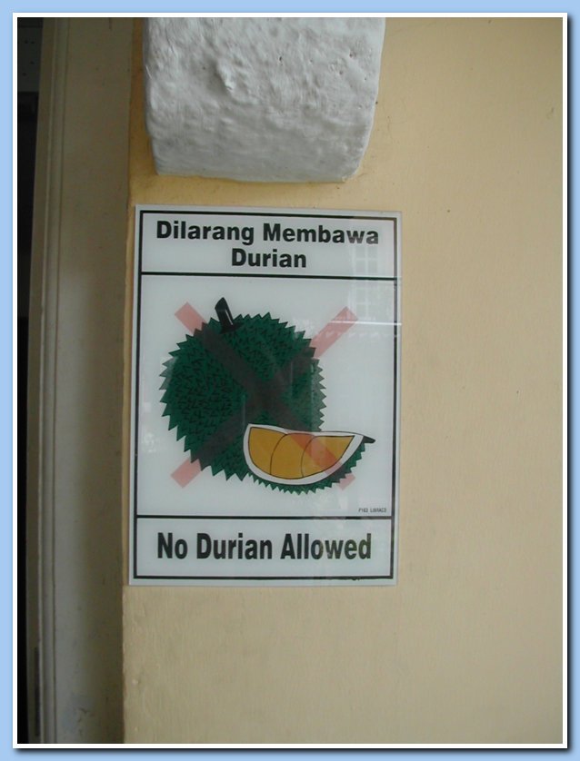 No durian